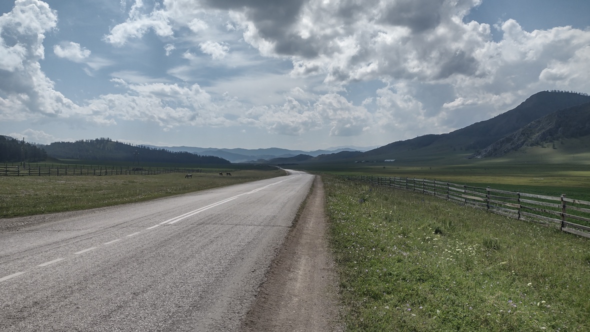 Уймонский тракт в районе Усть-Кана, Центральный Алтай © Александр Денисов