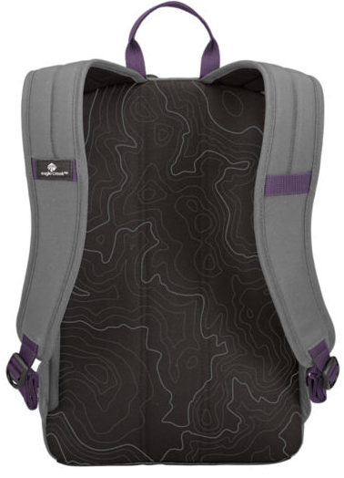 Рюкзак Eagle Creek Wayfinder Backpack Mini Graphite/Amethyst - Фото 5 большая