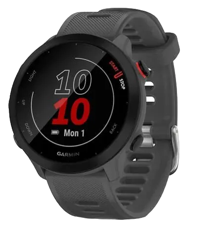 Часы Garmin Forerunner 55 Monterra Grey - Фото 1 большая