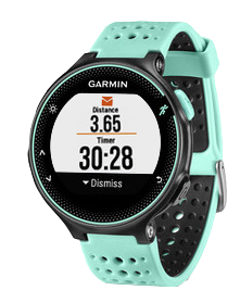 Часы Garmin Forerunner 235 Black/Blue - Фото 1 большая
