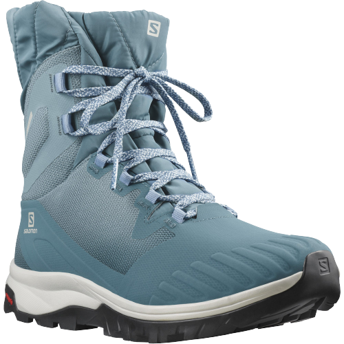 Ботинки женские Salomon Vaya Blaze TS CSWP Bluest/Malla - Фото 2 большая