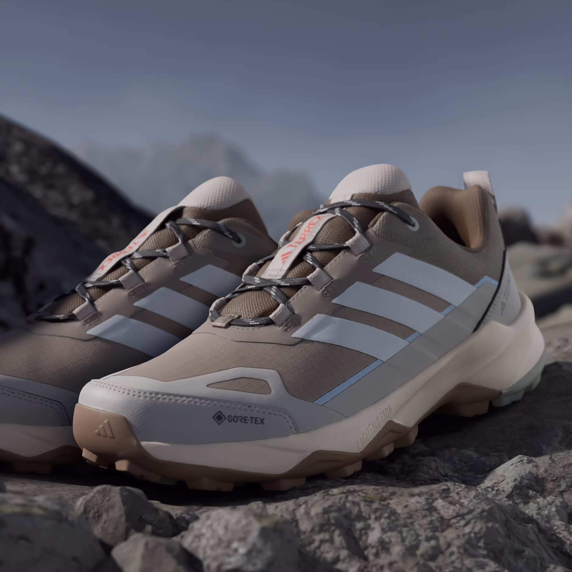 Кроссовки мужские Adidas Terrex Skychaser Ax5 Gtx Blacar/Owhite/Wonalu - Фото 13 малая