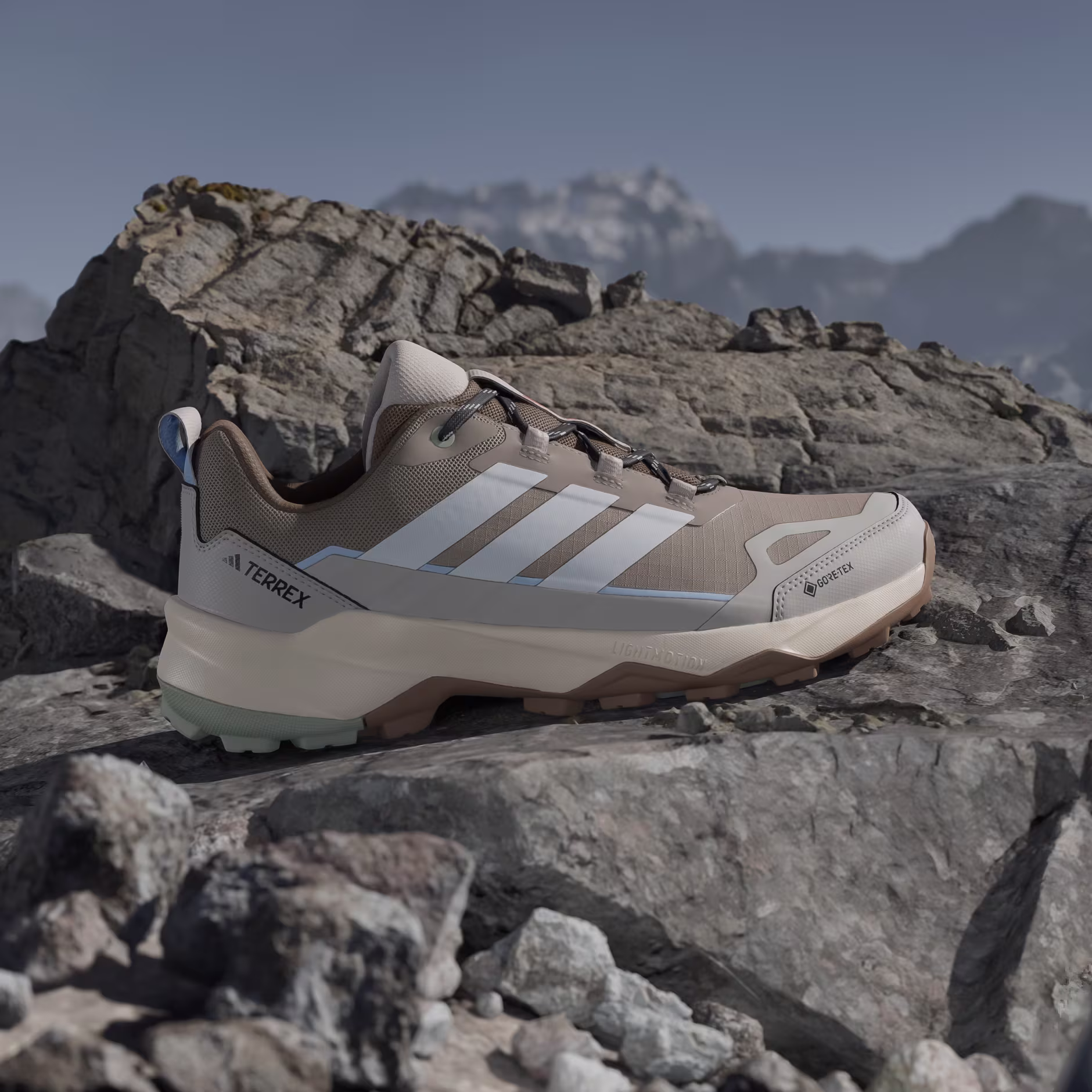 Кроссовки мужские Adidas Terrex Skychaser Ax5 Gtx Blacar/Owhite/Wonalu - Фото 4 малая