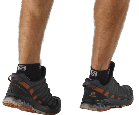 Кроссовки мужские Salomon XA Pro 3D V8 GTX Wide Ebony/Caramel Cafe/Black - Фото 2 большая