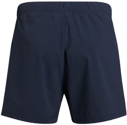 Шорты мужские Peak Performance Alum Light Blue Shadow - Фото 3 большая