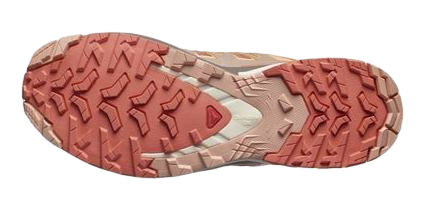 Кроссовки женские Salomon Xa Pro 3D V9 Sun Baked/Fsalmo/Prsu - Фото 2 большая