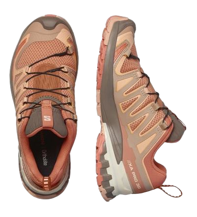 Кроссовки женские Salomon Xa Pro 3D V9 Sun Baked/Fsalmo/Prsu - Фото 4 большая