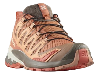 Кроссовки женские Salomon Xa Pro 3D V9 Sun Baked/Fsalmo/Prsu - Фото 5 большая