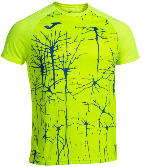 Футболка мужская Joma Elite IX Yellow - Фото 1 большая