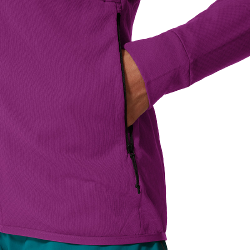 Куртка женская The North Face Summit Futurefleece Pamplona Purple - Фото 13 большая