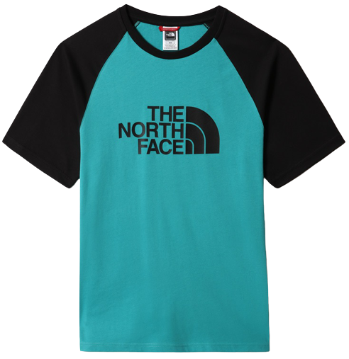 Футболка мужская The North Face Raglan Easy SS Porcelain Green - Фото 1 большая