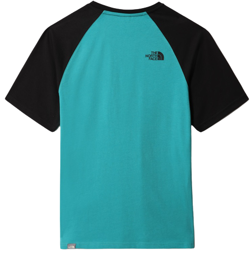Футболка мужская The North Face Raglan Easy SS Porcelain Green - Фото 9 большая