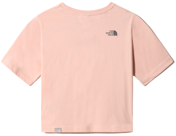Футболка детская The North Face Cropped Graphic SS Evening Sand Pink/Vanadis Grey - Фото 2 большая