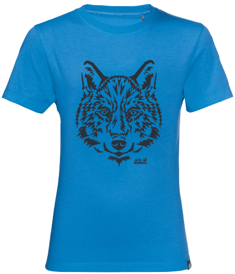 Футболка детская Jack Wolfskin Brand T Sky Blue - Фото 1 большая