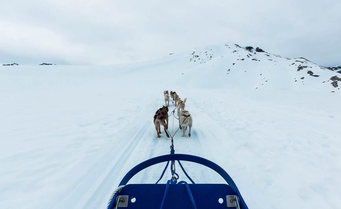 Школа юного туриста: путешествие на Север (группа 6-10 лет)