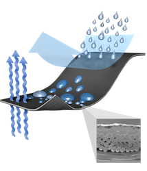Pertex Shield