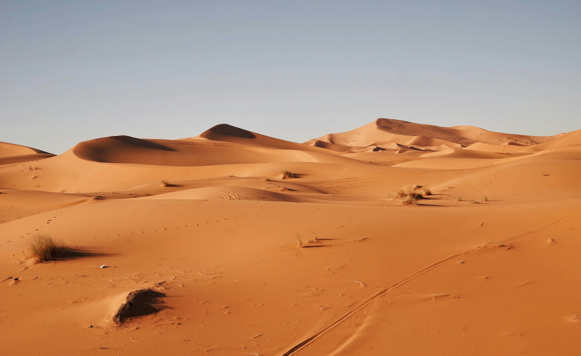 Клуб юных путешественников: загадки африканского континента, часть 3 (для детей 8 лет и старше)