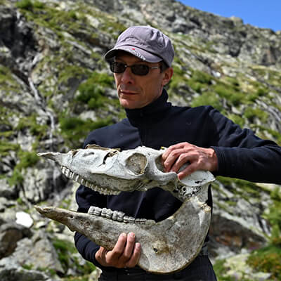 Андрей Троицкий