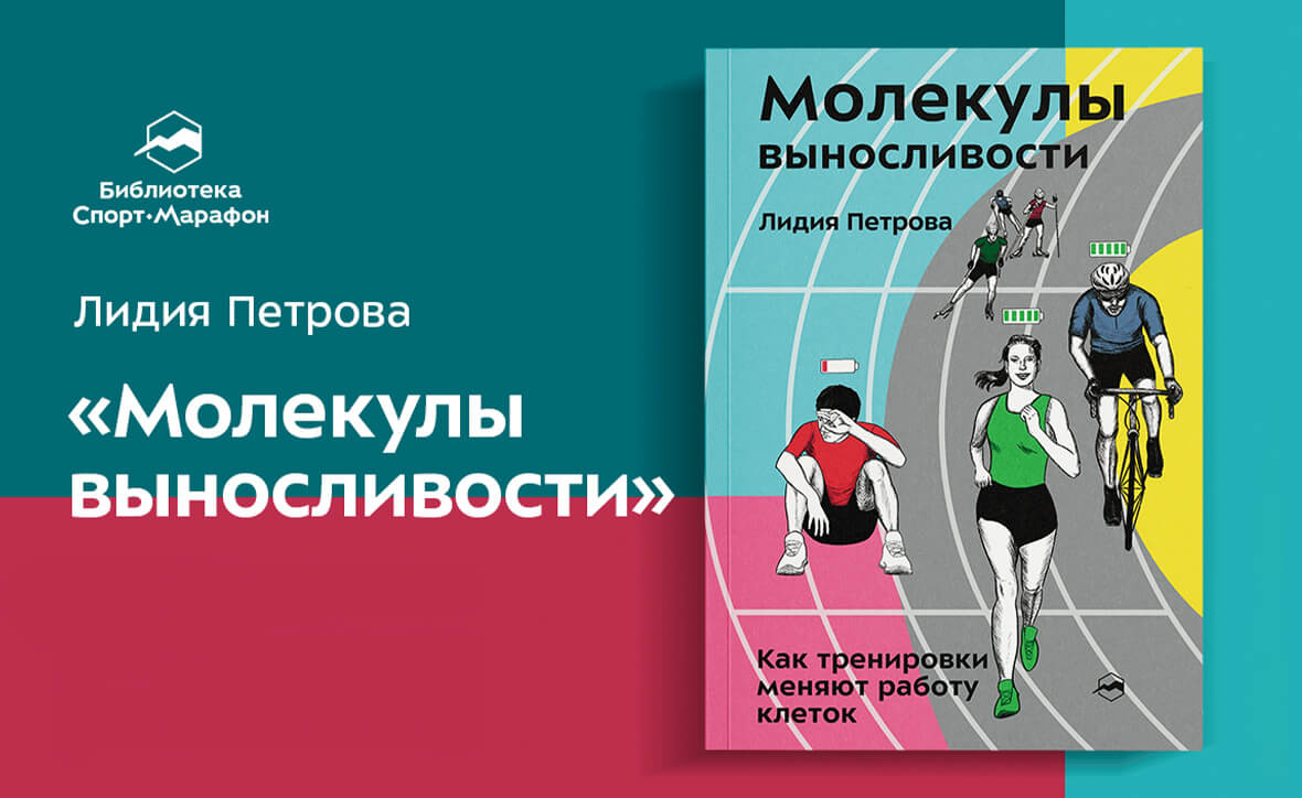 Молекулы выносливости: как клетки влияют на наши спортивные результаты