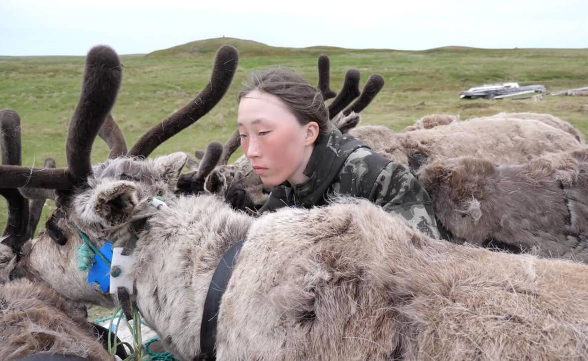 Арктика без круизов: остров Колгуев своими силами