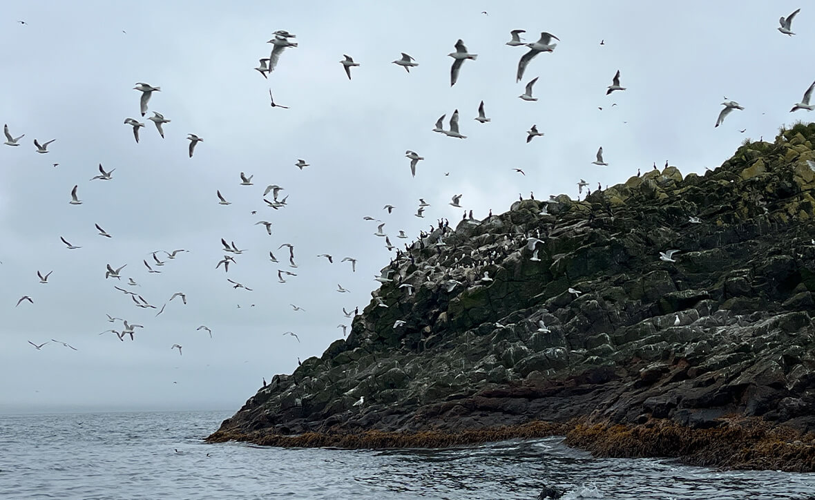 Командорские острова: край Земли