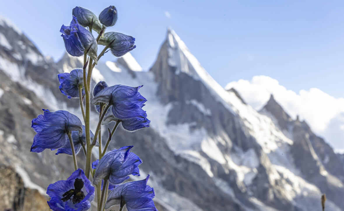 Показ лучших работ XX Кинофестиваля «Золотой компас»