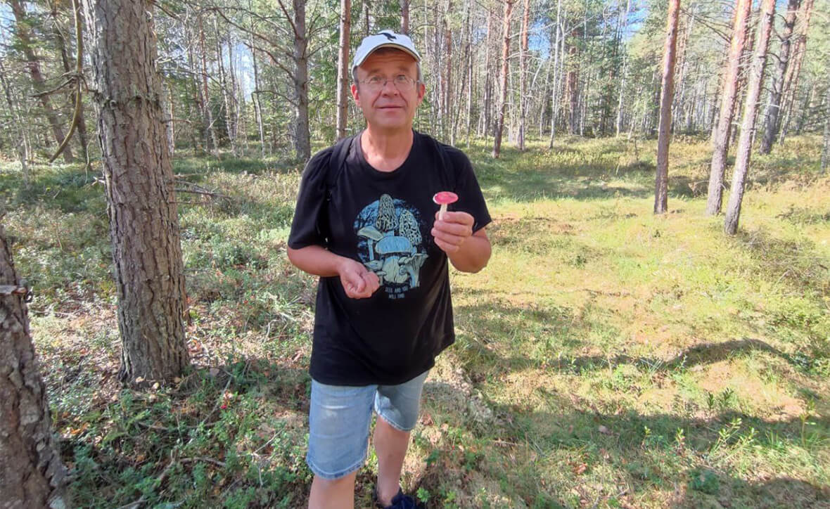 Грибные места: как читать лес и находить грибы