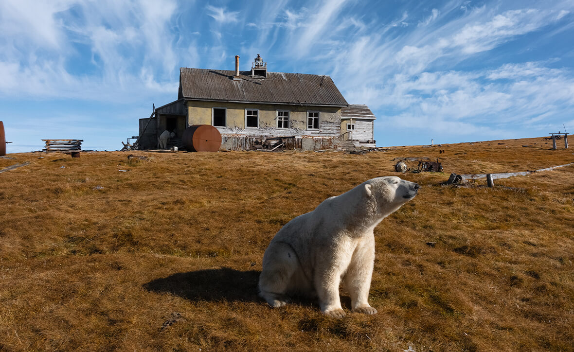 День приключенческого туризма с «Панарктик Стар»