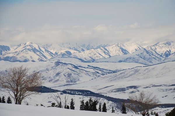 Жыргалан панорама Жыргалан панорама