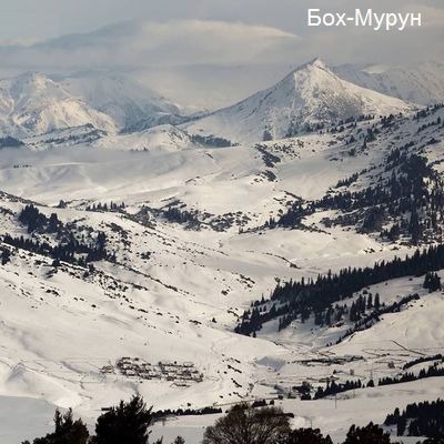 Бох-Мурун Бох-Мурун