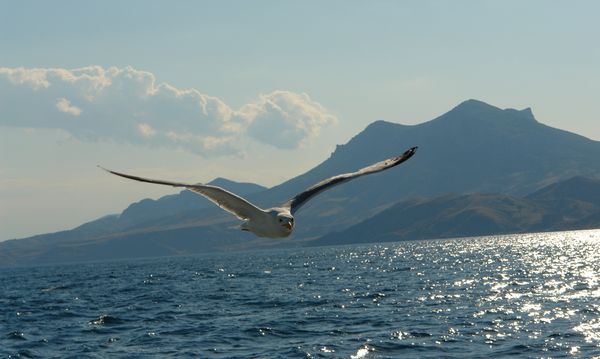 Горы и море Горы и море