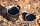 Термокружка Klean Kanteen Camp Mug 0,355 Mountain Black - Фото 17 малая