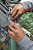 Термокружка Klean Kanteen TKWide Twist Cap 0,592 Sea Spray - Фото 8 малая