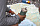 Термокружка Klean Kanteen TKWide Twist Cap 0,592 Sea Spray - Фото 10 малая