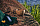 Чашка-кукса Kupilka 37 Snufkin Original - Фото 2 малая