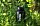 Термос Primus TrailBottle 0.5L Vacuum Moss - Фото 3 малая