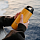 Термос Bobber Bottle-590 Ginger Tonic - Фото 4 малая