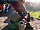 Кастрюля MSR Trail Lite 1.3 - Фото 4 малая