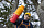 Термобутылка Klean Kanteen Rise Vac Classic Flip Sport 0,473 Marigold Kaleidoscope - Фото 7 малая