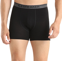 Трусы мужские Icebreaker Anatomica Boxers Black