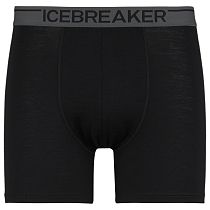 Трусы мужские Icebreaker Anatomica Boxers Black