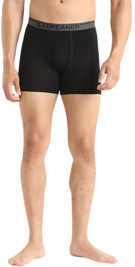 Трусы мужские Icebreaker Anatomica Boxers Black - Фото 2 большая