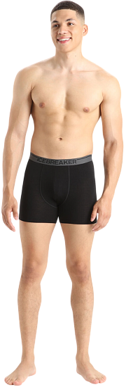 Трусы мужские Icebreaker Anatomica Boxers Black - Фото 4 большая