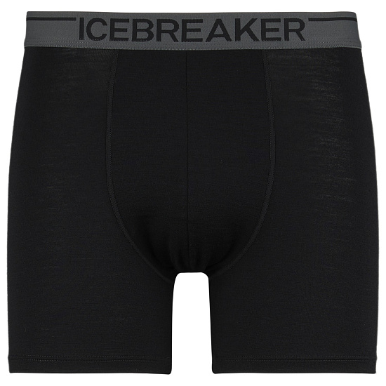 Трусы мужские Icebreaker Anatomica Boxers Black - Фото 1 большая