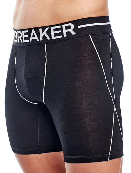 Трусы мужские Icebreaker Anatomica Zone Long Boxers Black - Фото 5 большая