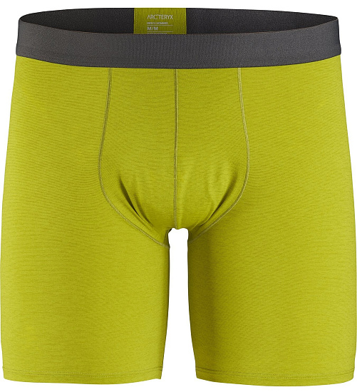 Трусы мужские Arcteryx Motus SL Boxer Glade - Фото 1 большая