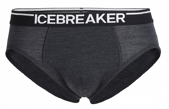 Трусы мужские Icebreaker Anatomica Briefs Jet/Black - Фото 1 большая
