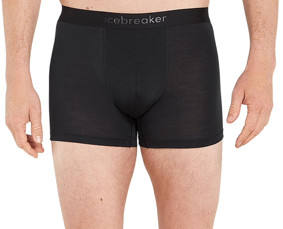 Трусы мужские Icebreaker Merino 125 Cool-Lite Anatomica Boxers Black - Фото 1 большая