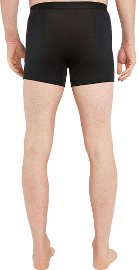 Трусы мужские Icebreaker Merino 125 Cool-Lite Anatomica Boxers Black - Фото 3 большая