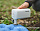 Коврик Naturehike Double Airbag Tpu Q-9C Blue - Фото 9 малая